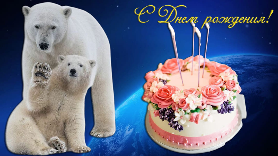 Медведь поздравление с днем рождения