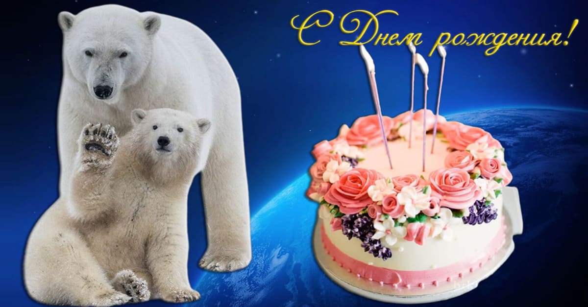Заказать медведя поздравить. Открытка с днем рождения с белым медведем. Белый медведь на день рождения. Медведь поздравляет с днем рождения. Белый медведь поздравляет с днем рождения.
