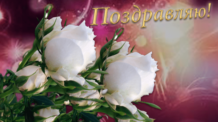 Белые розы открытки любимым