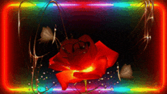 Шикарная бордовая роза открытка поздравление