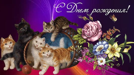 Красивая открытка с Днём рождения Милые котята