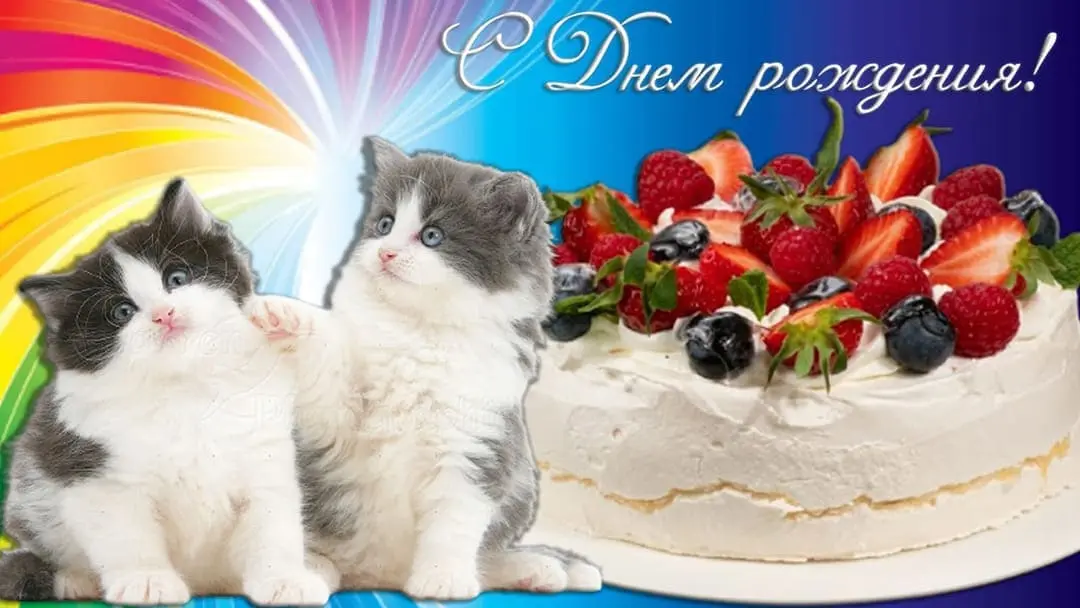 Открытка с Днём рождения котята Радуга и тортик