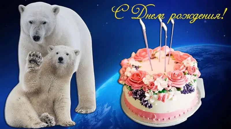 Поздравления Днем рождения от белых медведей
