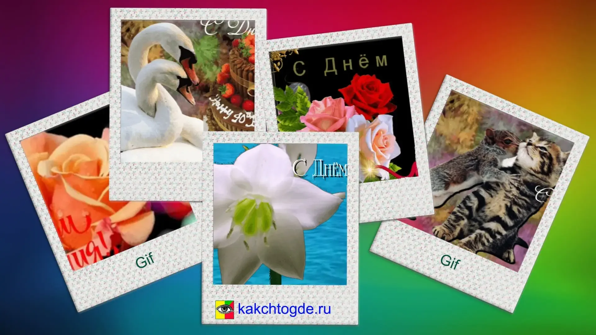 Скачать открытки с Днём рождения анимационные картинки  анимация animacia kartinki гифки гиф gif живые мерцающие